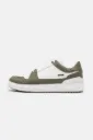 Amur Olive